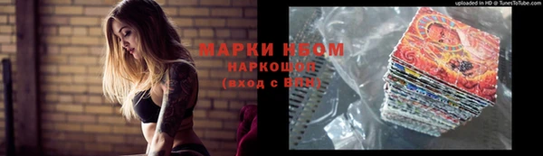 apvp Алзамай